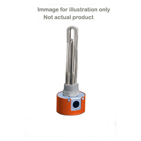 BLR710L5C4 explosion proof immersion heater