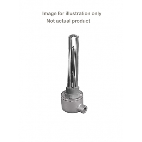 Watlow BLR77L1C explosion proof immersion Heater