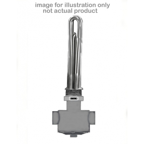 Watlow BLR77L5C4 Immersion Heater